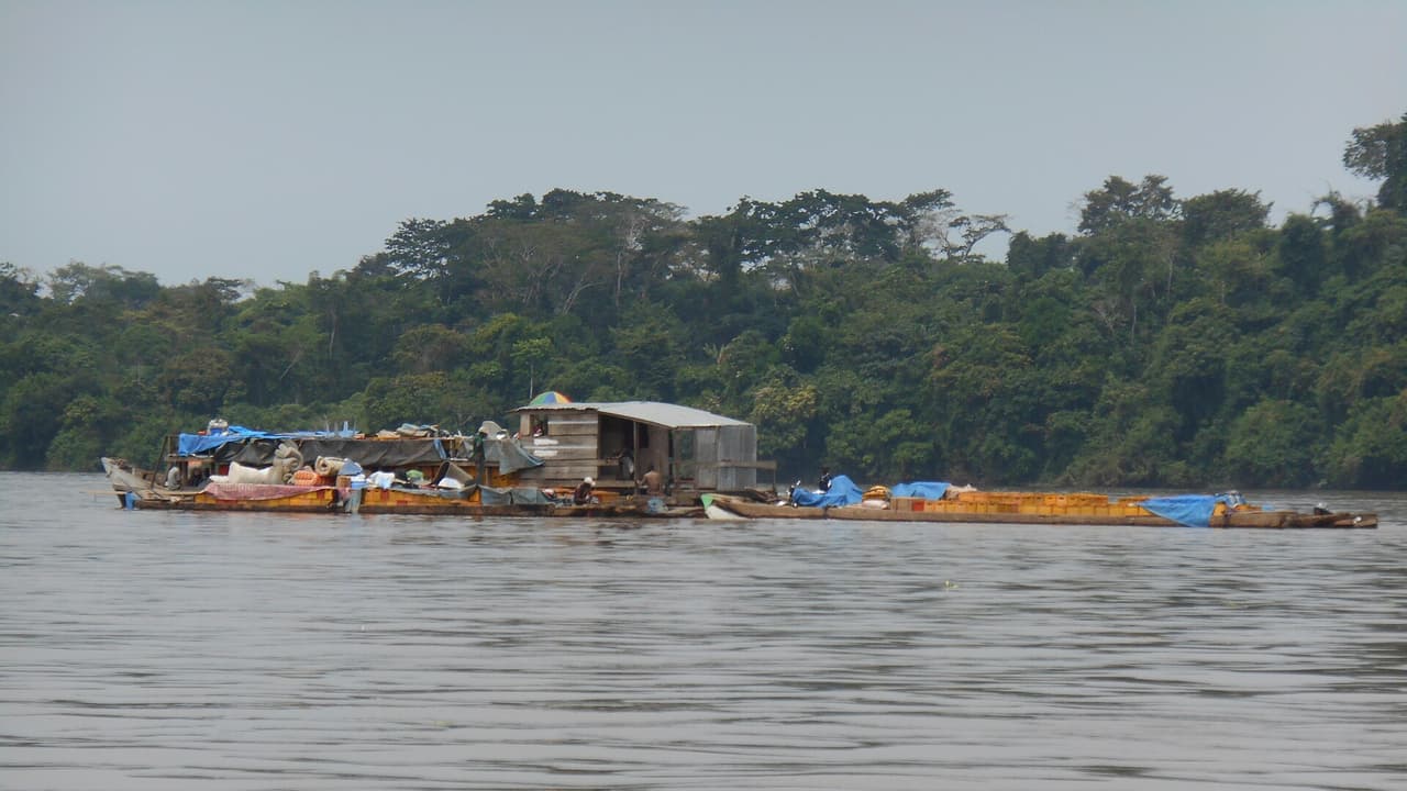 Une longue embarcation en bois, surmontée d'une cabine à toit de tôle et chargée de sacs, de caisses et de bâches, navigue avec des passagers à bord sur un large fleuve bordé de forêt dense.