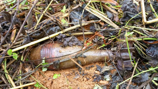 Un engin explosif militaire non éclaté (projectile / obus) gisant au sol parmi l'herbe et les feuilles mortes, dans l'est de la République démocratique du Congo.