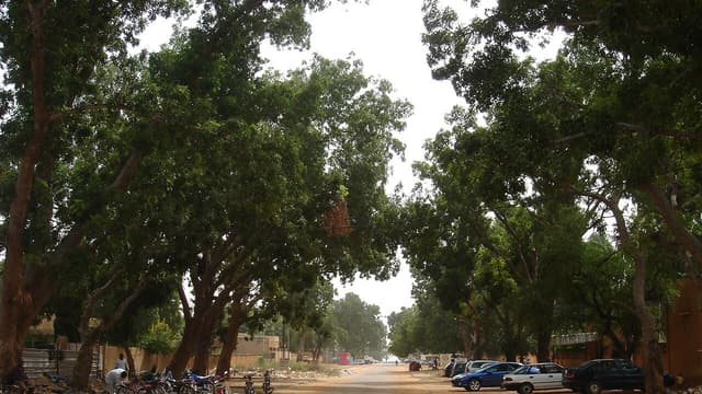 Disparition du journaliste Moussa Kaka au Niger : CPJ et RSF appellent les autorités à agir