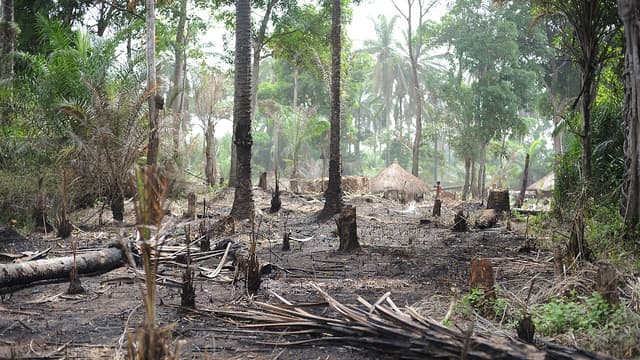 Haut-Uélé : 10 000 déplacés sans assistance à Watsa et Wamba depuis mai