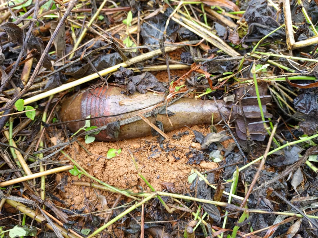 Un engin explosif militaire non éclaté (projectile / obus) gisant au sol parmi l'herbe et les feuilles mortes, dans l'est de la République démocratique du Congo.