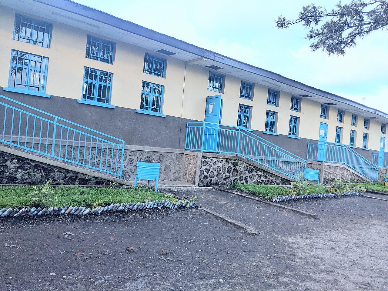 Nord - Kivu : Delly Sesanga dénonce l'imposition des frais scolaires par l'AFC/M23 dans les écoles primaires